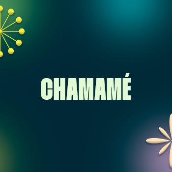 Fiesta Nacional Del Chamamé