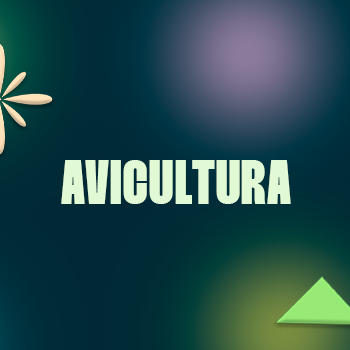 Avicultura