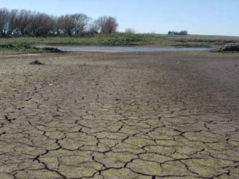 Aseguran que el 78% del agua del Senguer se desvía para usos ganaderos