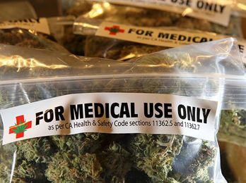 Se realiza el Primer Seminario Patagónico de Cannabis Medicinal