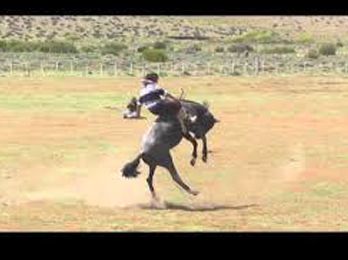 Gran Fiesta 92º aniversario Dr. Ricardo Rojas – Chubut.-