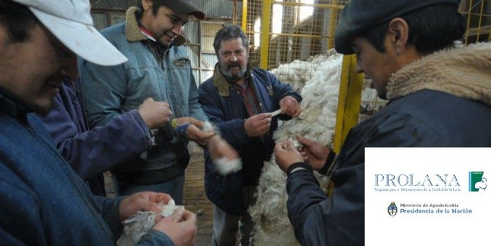 Curso de Formación de Acondicionadores de Lanas en Alto Rìo Senguer.