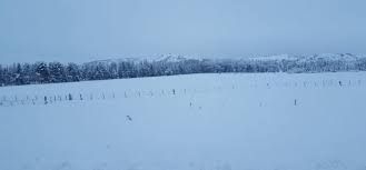 Temporal de nieve: Educación informó las  localidades donde continúa la suspensión de clases.
