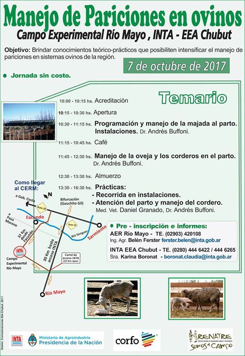 jornada de Pariciones de Ovinos en el campo en Rio Mayo.