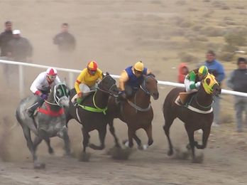Expectativas por la Fiesta Regional del Caballo Cuadrero