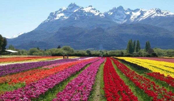 Trevelin podría ser una de las 7 maravillas del país