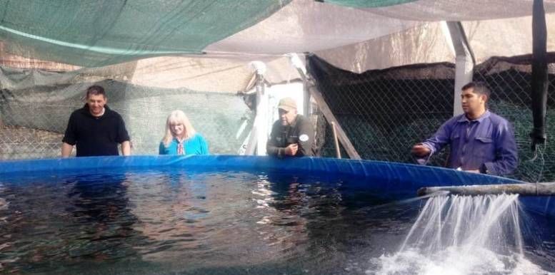 La Secretaría de Pesca provincial repartió crías a pisciculturas escolares