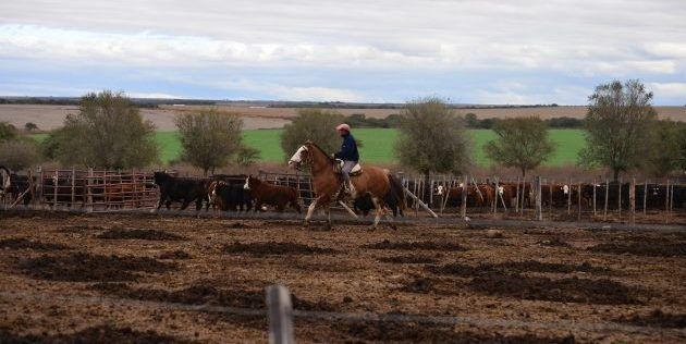 Continua el Censo Nacional Agropecuario
