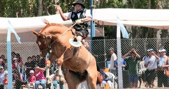 9º Festival provincial Gato y Mancha