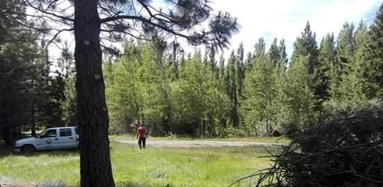 Limpieza y mantenimiento en el vivero de la institución