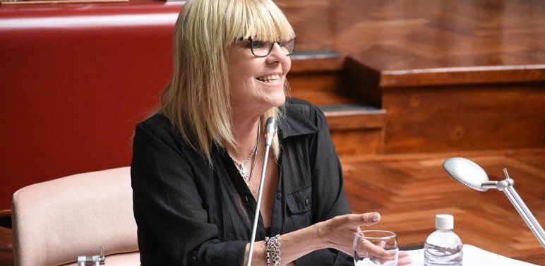 Aprueban ley que prohíbe eutanasia y la matanza de perros y gatos