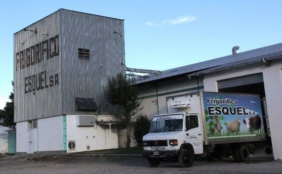 Comienza la zafra de liebres