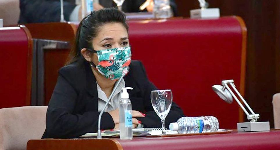 Goic: "No se pudo sesionar en el dia de hoy"