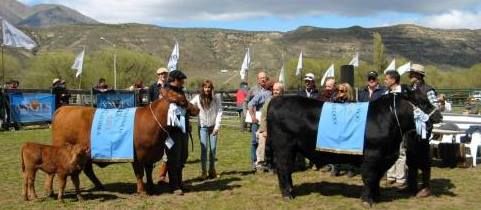 Con restricciones se realiza la 43º Exposición Bovina en Esquel.