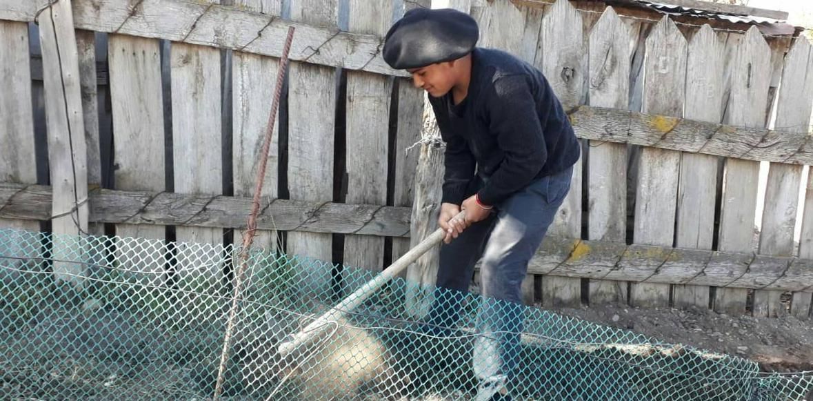 Proyecto, Manos a la tierra, huerta en casa, Escuela Secundaria N° 716.
