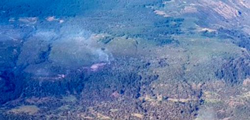 Incendios: anticipan temporada de verano seca y con temperaturas altas