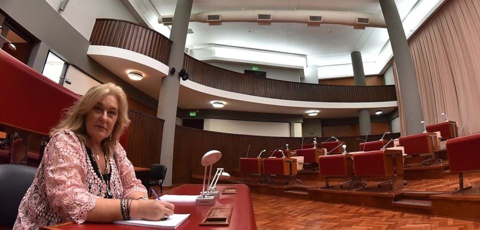 Terenzi."Esta presentada una proclamacion de listas, en caso de senadores"