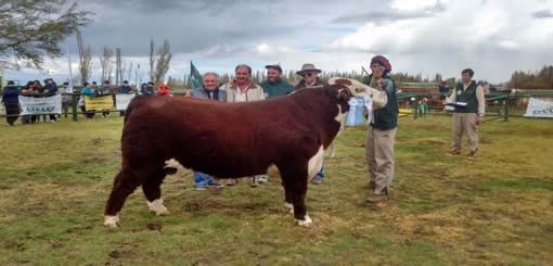 91° Exposición Agricolas y de Carneros de campo en Sarmiento.