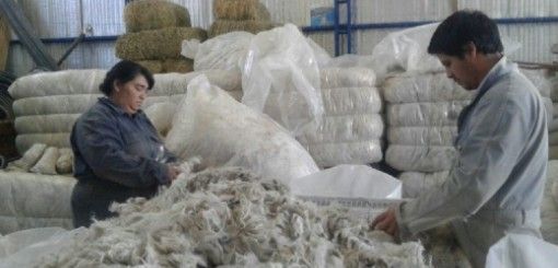 Convocan a curso de formación de Acondicionadores de Lanas.