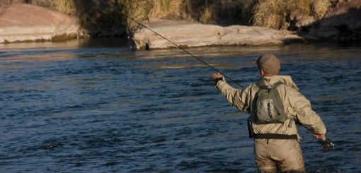 El fin de semana próximo termina la Temporada de Pesca Deportiva