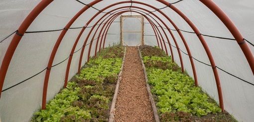 Entrega de nilón para invernáculos a productores en Senguer y la region