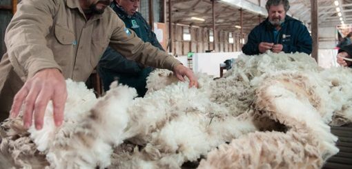 Curso de Formacion de Acondicionadores de Lanas