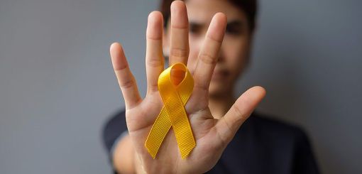 Mesa intersectorial para prevencion del Suicidio y Autolesiones